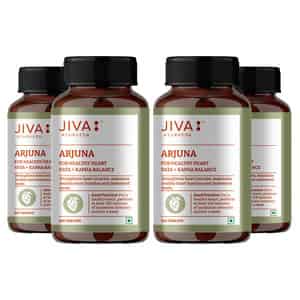 Jiva Arjuna Tablets|promotes Heart Health|maintain Cholestrol Level - 120 Tabs (pack Of 4)