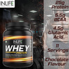 Inlife Whey Protein Powder With Isolate Concentrate Hydrolysate Body Workout - 400 Grams (Chocolate)
