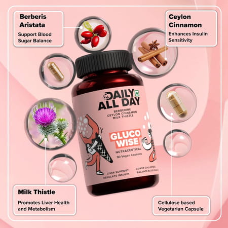 Daily All Day Berberine Supplements For Diabetes Care | 90 Capsules