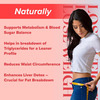 Daily All Day Berberine Supplements For Diabetes Care | 90 Capsules