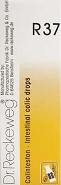 Dr. Reckeweg R 37 Intestinal Colic Drops 22 Ml