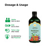 Kerala Ayurveda Kanakasavam 450 Ml
