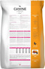 Canine Creek Club Ultra Premium Dry Dog Food For All Lifestages | 20 Kg Pack