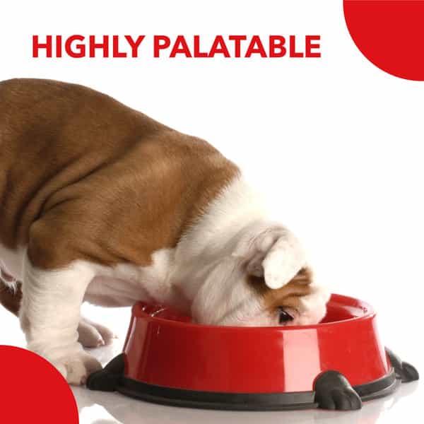 Drools Pup Booster Puppy Weaning Diet For All Breeds 300G