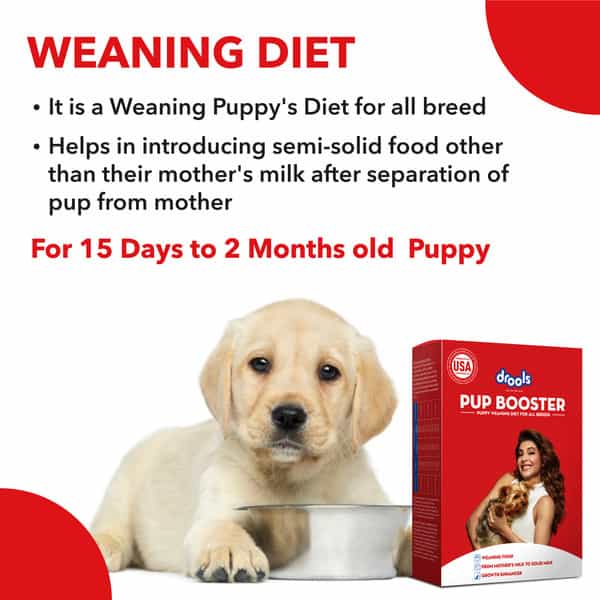 Drools Pup Booster Puppy Weaning Diet For All Breeds 300G