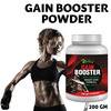 Riffway Gain Booster Weight Gain Powder | Improve Workout Performance 100% Ayurvedic (1X200gm)