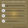 Truebasics Omega Joint - 30 Softgel Capsules