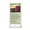 Neeta Professional Pro Fashion Color Kit 3.16 Burgundy 100G | Permanent Creme Hair Color | Unisex