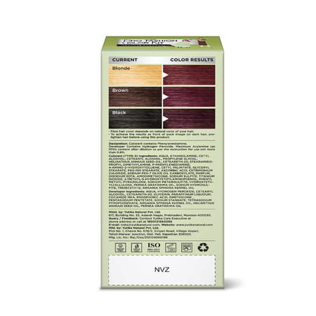 Neeta Professional Pro Fashion Color Kit 3.16 Burgundy 100G | Permanent Creme Hair Color | Unisex