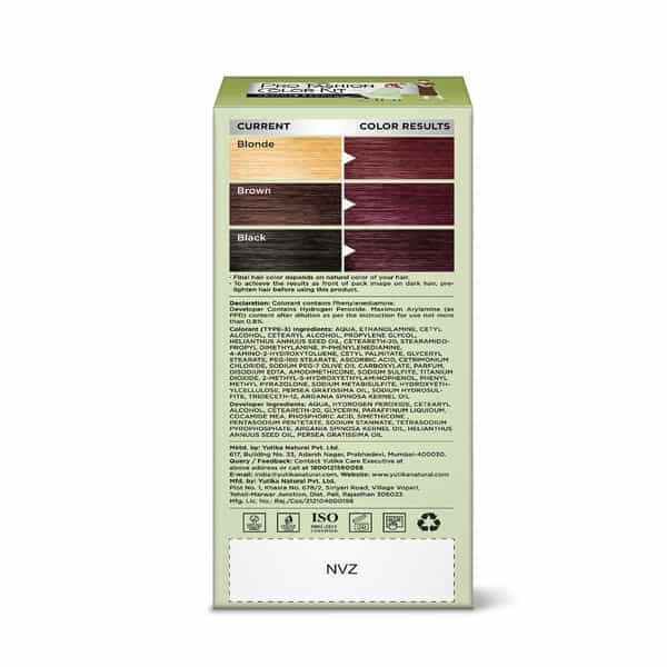 Neeta Professional Pro Fashion Color Kit 3.16 Burgundy 100G | Permanent Creme Hair Color | Unisex