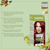 Neeta Professional Pro Fashion Color Kit 3.16 Burgundy 100G | Permanent Creme Hair Color | Unisex