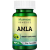 Morpheme Remedies Amla 500 Mg - 60 Veg Capsules