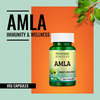 Morpheme Remedies Amla 500 Mg - 60 Veg Capsules