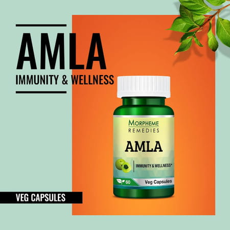 Morpheme Remedies Amla 500 Mg - 60 Veg Capsules