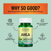 Morpheme Remedies Amla 500 Mg - 60 Veg Capsules