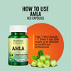 Morpheme Remedies Amla 500 Mg - 60 Veg Capsules