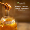 Praakritik Natural Adivasi Honey 500 G