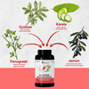 Herbs & Health - Glucose Management|Healthy Blood Sugar Levels| 60 Vegetarian Capsules