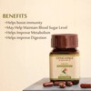Upakarma Ayurveda Pure And Premium Giloy Extract 500 Mg 90 Veggie Capsules