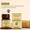 Upakarma Ayurveda Pure And Premium Giloy Extract 500 Mg 90 Veggie Capsules