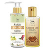 Tnw-The Natural Wash Hair Care Combo With Amla Shampoo & Castor Oil
