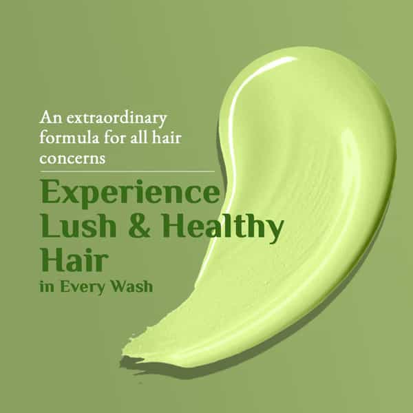 Green Apple Shampoo 100 Ml Pack Of 4