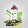 Ayumcure Dia Free Juice | Blood Sugar Control | With Karela Jamun Amla Giloy Tulsi & More | 1Ltr