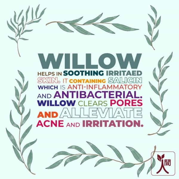 Ningen Willow Spot Correction Face Gel I Heals And Reduces Acne And Rash Induced Spots I 100G