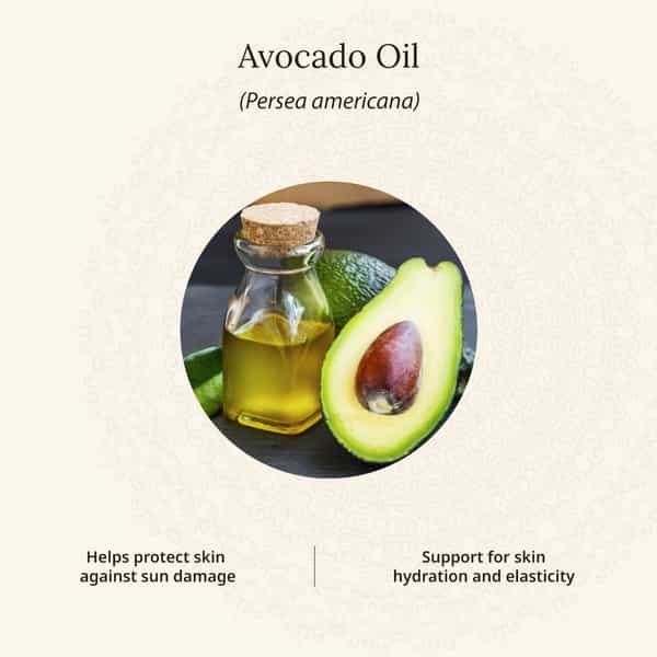 Amarantha Avocado Body Lotion (Pack Of 2)