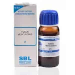 Sbl Fucus Vesiculosus Mother Tincture Q 30 Ml Pack Of 2