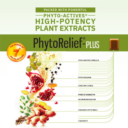 Phytorelief Plus Sugar Free Strip Of 10 Pastilles
