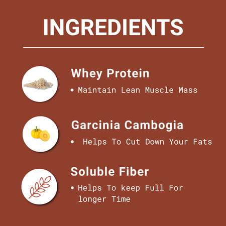 Obesigo | Best Meal Replacement Shake For Weight Loss (350gm | 7 Sachets - Weekly | Vanilla Flavour)