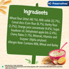 Nestle Cerelac Multigrain & Fruits | No Preservatives | 12 To 24 Months | 300 Gm