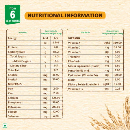 Nestle Nestum Baby Cereal Rice From 6 Months 24 Months Box 300 Gm