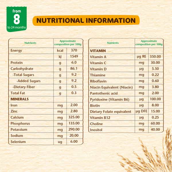 Nestle Nestum Infant Cereal (8 Months-12 Months) Rice Vegetable - 300 G