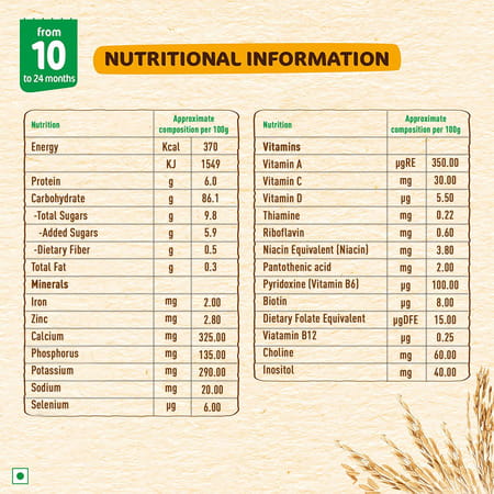 Nestle Nestum Infant Cereal Stage-3 (10 Months-24 Months) Rice 3 Fruits 300g