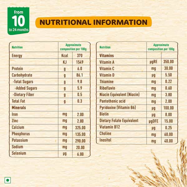 Nestle Nestum Infant Cereal Stage-3 (10 Months-24 Months) Rice Fruits 300 G