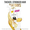 Pantene Shampoo Long Black 80 Ml