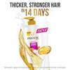 Pantene Shampoo Hair Fall Control 650 Ml