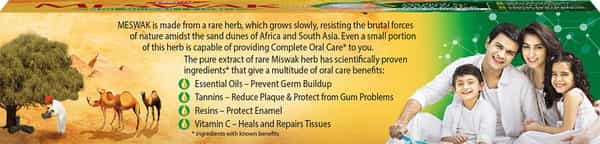 Dabur Meswak  Toothpaste  Tube Of 200 G