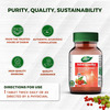 Dabur Ashwagandha Immunity Booster Bottle Of 60 G
