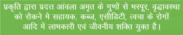 Patanjali Divya Amla Juice 1 L