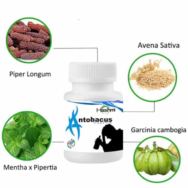 Hashmi Antobacus (60 Capsules)