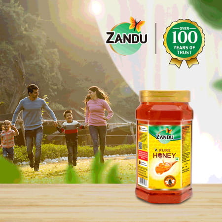 Zandu Pure Honey Health Food Bottle Of 500 Gm