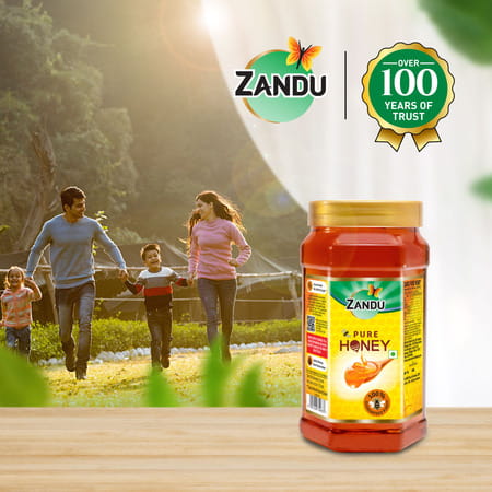 Zandu Pure Honey Health Food Bottle Of 500 Gm