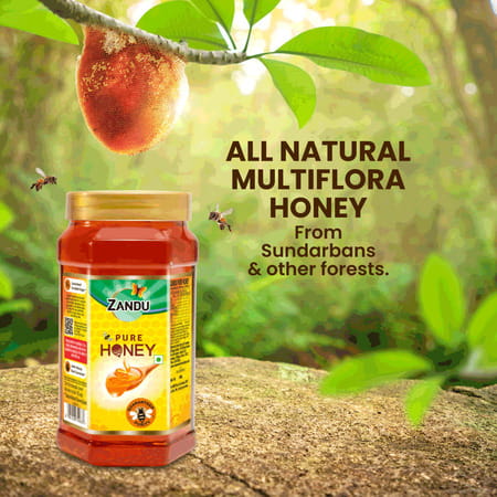 Zandu Pure Honey Health Food Bottle Of 500 Gm