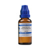 Sbl Gnaphylium Polycephallum 30Ml