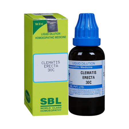 Sbl Clematis Erecta 30ml