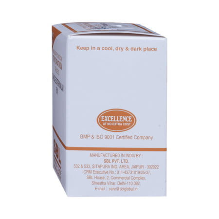 Sbl Cholestrinum 6x 25gm