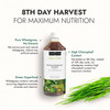 Kapiva Wheatgrass Juice 1L | Ayurvedic Juice For Detoxification | High Chlorophyll